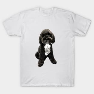 Cockapoo Cavapoo Black with White Puppy Dog T-Shirt